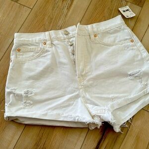 Free People Denim Cutoff Shorts